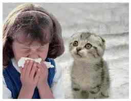 Аллергия летом у ребенка что делать