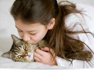 Аллергия на кошек у детей до года