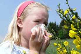 Аллергия у маленького ребенка на пыльцу