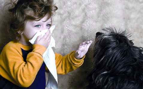 Как лечить астму у детей в домашних условиях