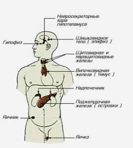 Лечение брадикардии у детей