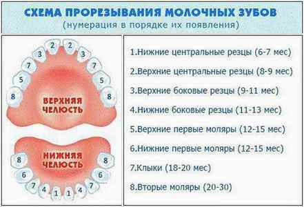 Болевой синдром при прорезывании зубов у детей
