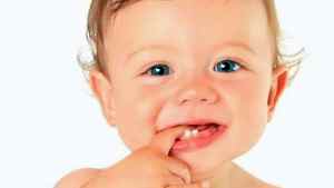 Прорезывание зубов у детей клыки температура