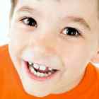 Рост постоянных зубов у детей фото