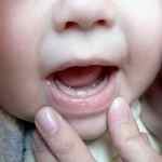 Прорезывание глазных зубов у детей комаровский