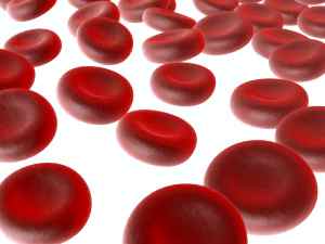 Признаки рака крови у взрослых