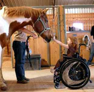 Лечение лошадьми детей в москве