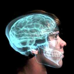Мозг и нервная система человека для детей видео